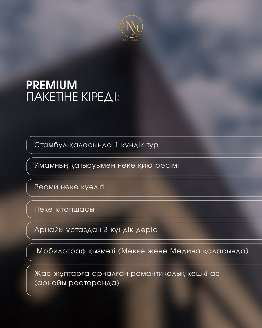 Premium Lux · слайд 4