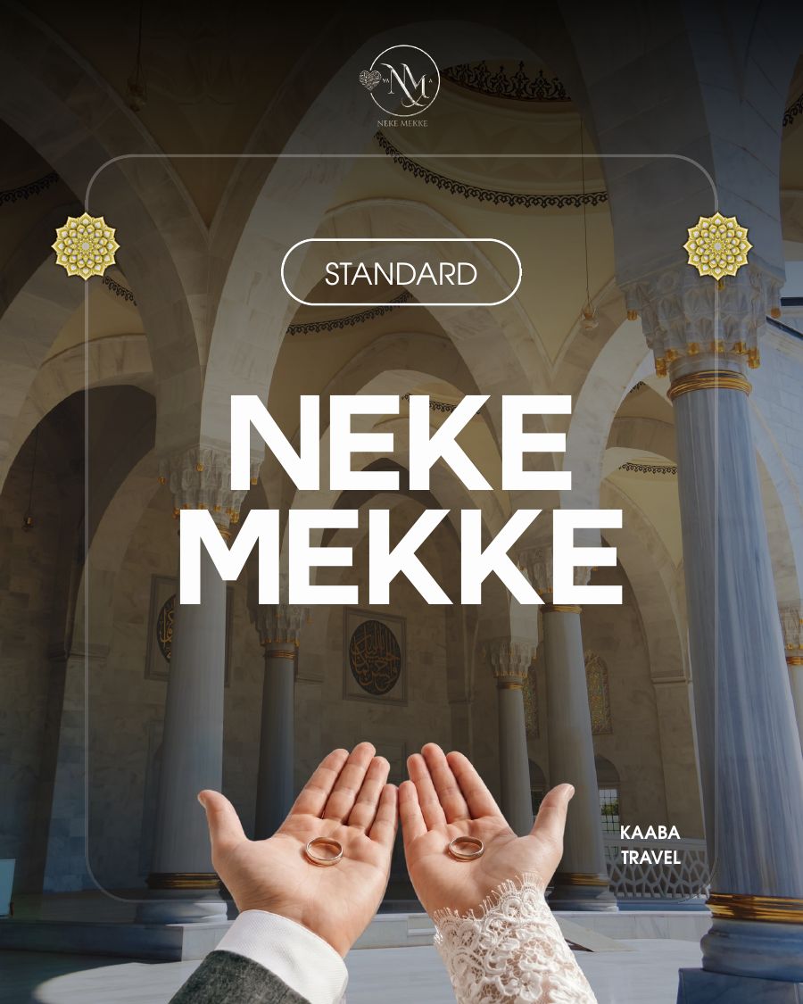 Standard · слайд 1